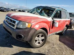 Ford Escape salvage cars for sale: 2010 Ford Escape Hybrid