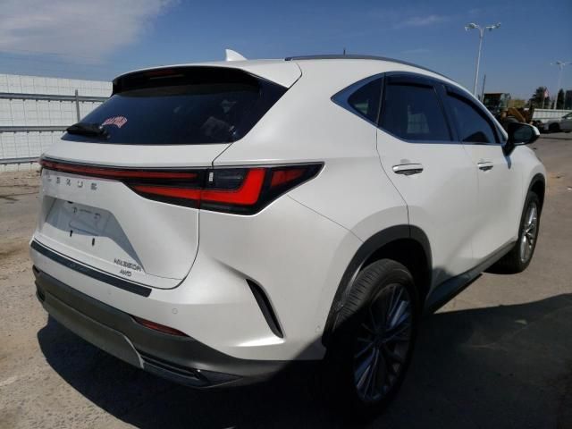 2022 Lexus NX 350H