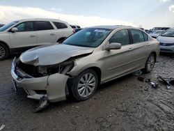 Honda Accord EXL salvage cars for sale: 2013 Honda Accord EXL