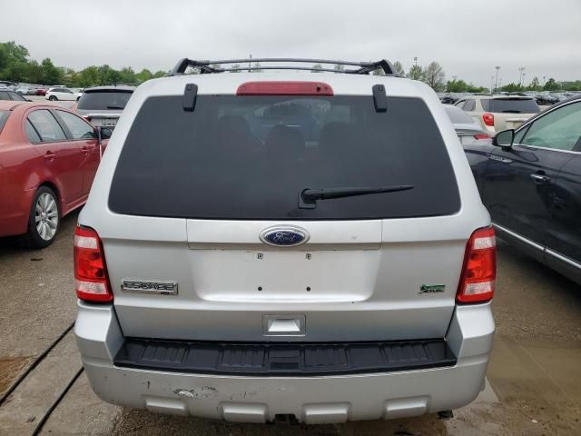 2010 Ford Escape XLT