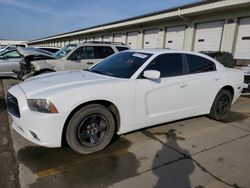 Dodge Vehiculos salvage en venta: 2012 Dodge Charger Police