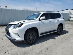 2023 Lexus GX 460 Luxury en venta en Albany, NY