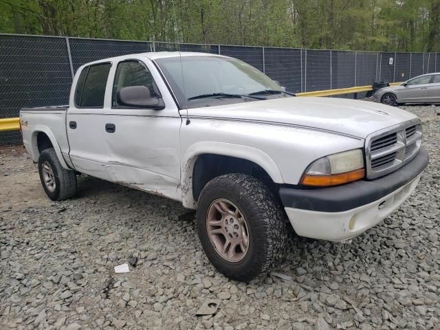 2004 Dodge Dakota Quad Sport