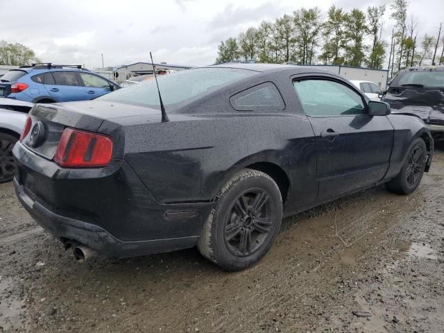 2011 Ford Mustang