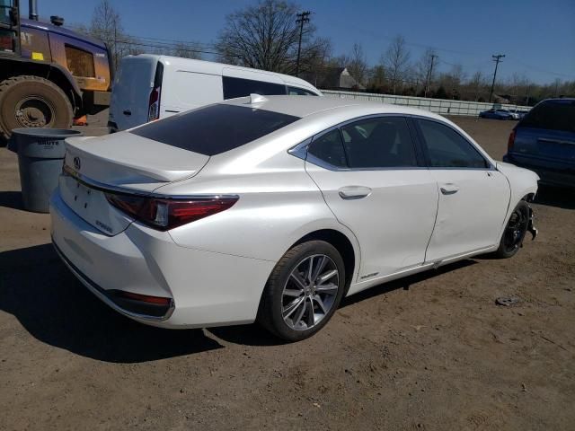 2019 Lexus ES 300H