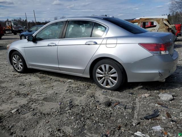 2011 Honda Accord EXL