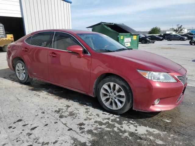 2013 Lexus ES 300H