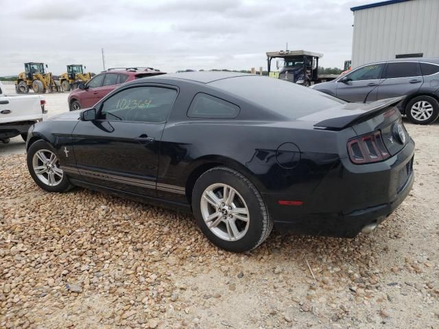 2013 Ford Mustang