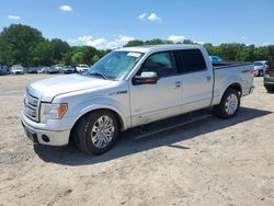 Ford f150 Supercrew Vehiculos salvage en venta: 2012 Ford F150 Supercrew