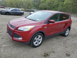 2014 Ford Escape SE en venta en Marlboro, NY