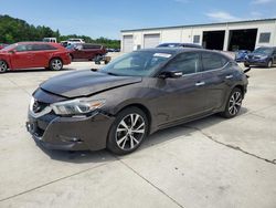 2016 Nissan Maxima 3.5S en venta en Gaston, SC