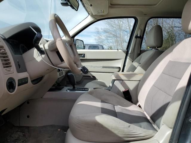 2008 Ford Escape XLT