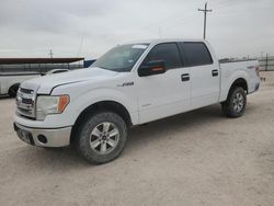 Vehiculos salvage en venta de Copart Andrews, TX: 2014 Ford F150 Supercrew