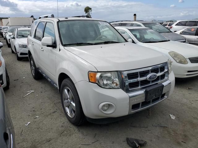 2009 Ford Escape Limited