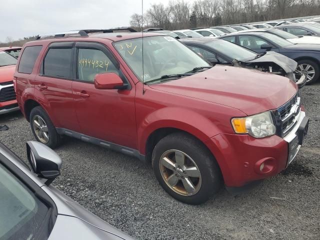 2011 Ford Escape Limited