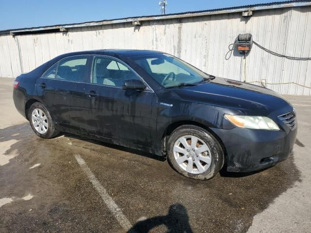 2009 Toyota Camry Hybrid