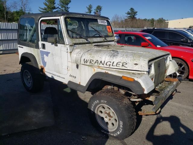 1991 Jeep Wrangler / YJ S