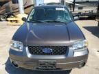 2006 Ford Escape XLT