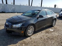 Chevrolet salvage cars for sale: 2013 Chevrolet Cruze ECO