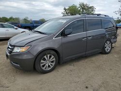 Honda salvage cars for sale: 2014 Honda Odyssey EXL