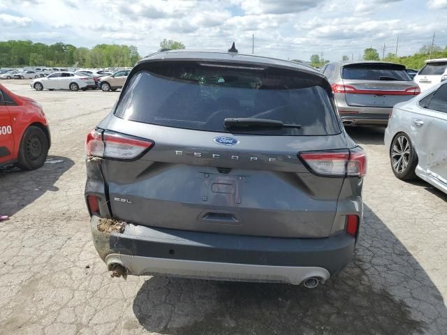 2021 Ford Escape SEL