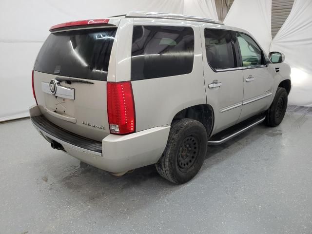 2008 Cadillac Escalade Luxury