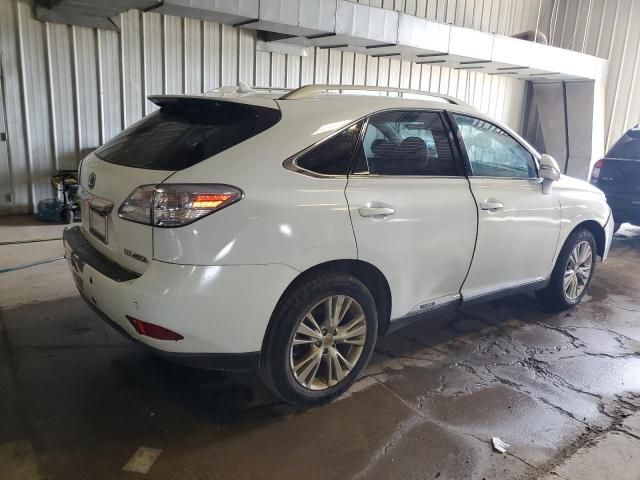 2010 Lexus RX 450