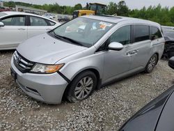 2014 Honda Odyssey EXL en venta en Memphis, TN
