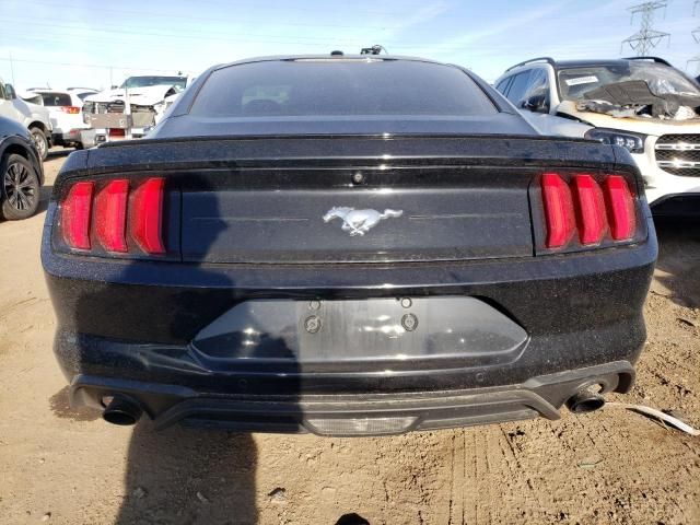 2019 Ford Mustang