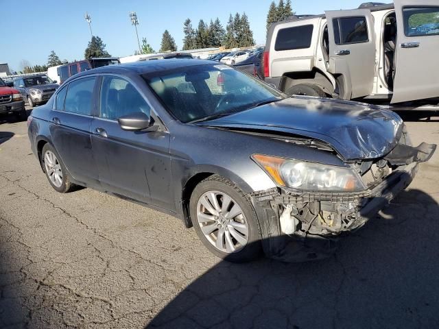 2011 Honda Accord EXL