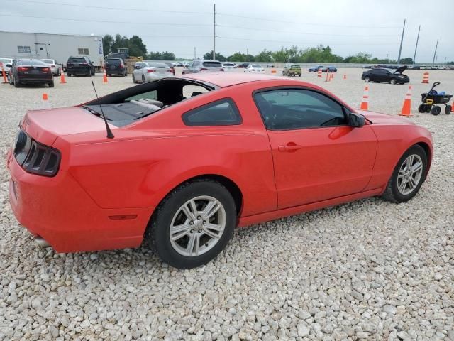 2013 Ford Mustang