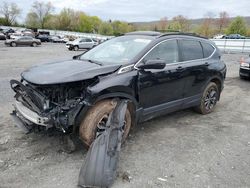 Honda salvage cars for sale: 2021 Honda CR-V EXL