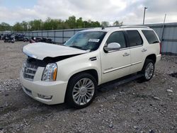 2013 Cadillac Escalade Platinum for sale in Lawrenceburg, KY