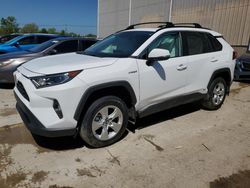 2021 Toyota Rav4 XLE for sale in Lawrenceburg, KY