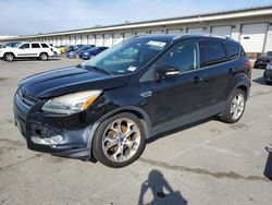 2016 Ford Escape Titanium en venta en Louisville, KY