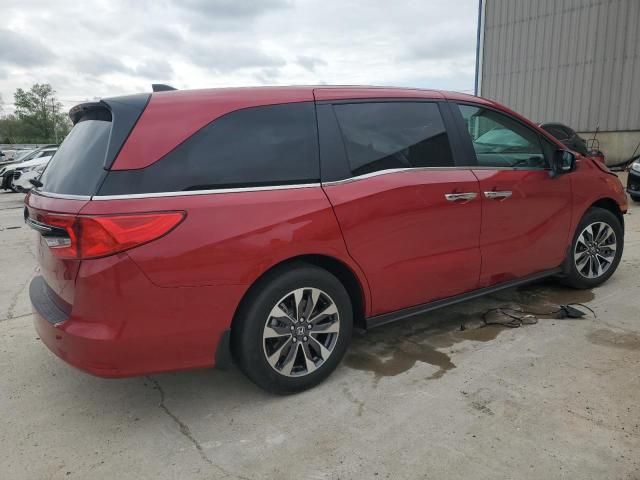 2023 Honda Odyssey EXL