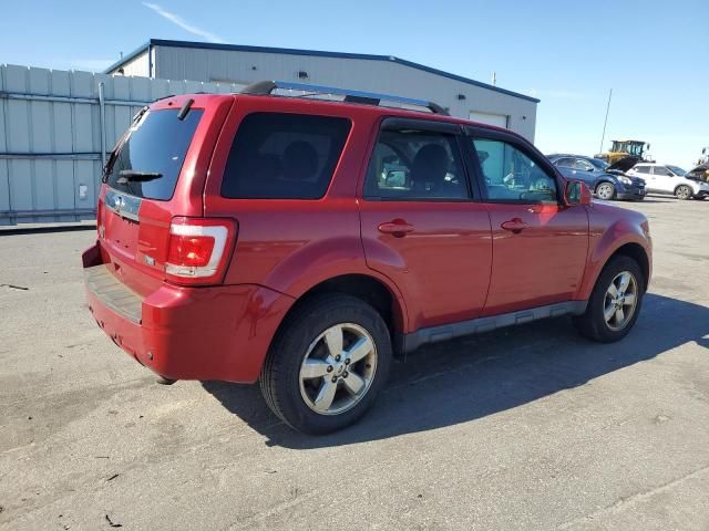 2011 Ford Escape Limited