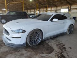 2019 Ford Mustang for sale in Phoenix, AZ