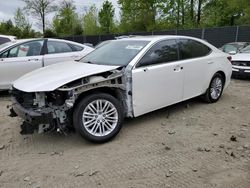 Lexus es 350 salvage cars for sale: 2017 Lexus ES 350