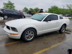 Salvage cars for sale from Copart Louisville, KY: 2005 Ford Mustang