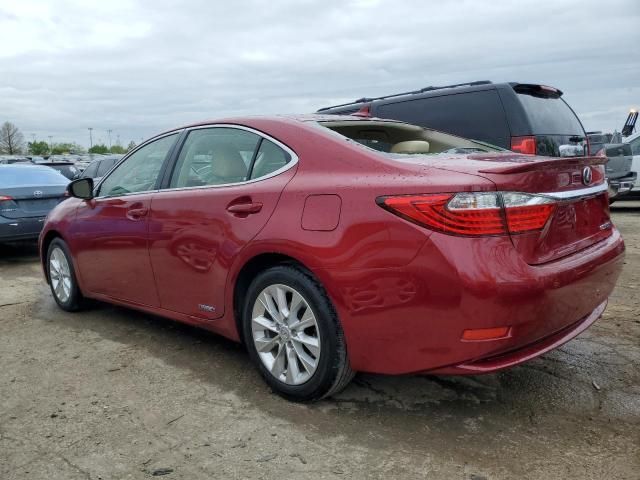 2014 Lexus ES 300H