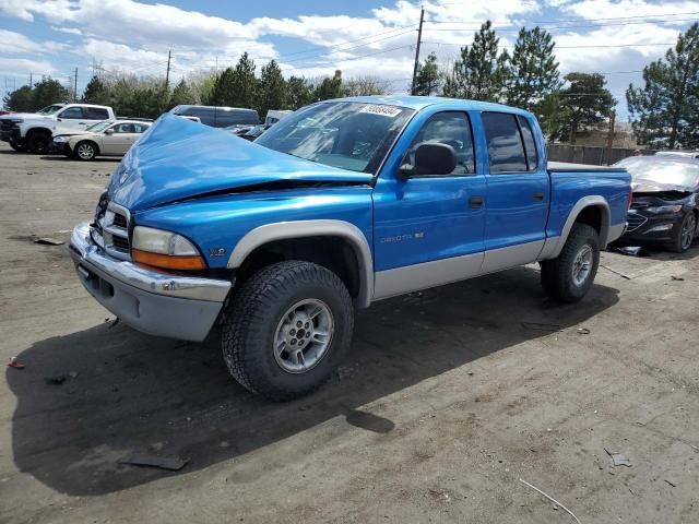 2000 Dodge Dakota Quattro