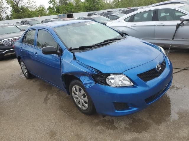 2010 Toyota Corolla Base