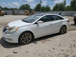 Salvage cars for sale from Copart Midway, FL: 2013 Hyundai Sonata SE