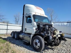 Freightliner salvage cars for sale: 2020 Freightliner Cascadia 126