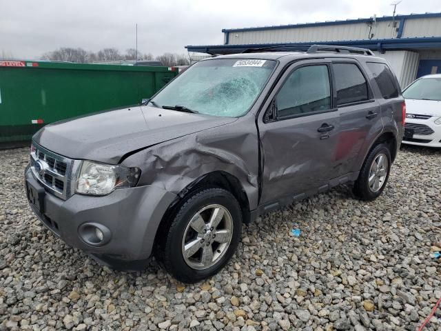 2011 Ford Escape XLT