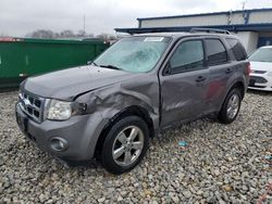 2011 Ford Escape XLT for sale in Wayland, MI