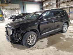 Hyundai Santa fe Vehiculos salvage en venta: 2019 Hyundai Santa FE SEL