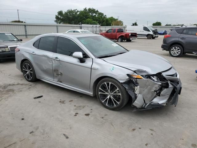 2019 Toyota Camry Hybrid