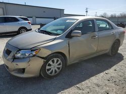 2010 Toyota Corolla Base for sale in Leroy, NY